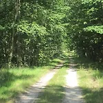 Le Clos Du Cerf - Le Sous-bois Guest house 4*