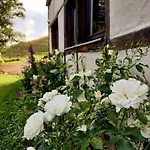 Guest house Le Clos Du Cerf - Le Sous-bois 4*