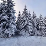 Le Clos Du Cerf - Le Sous-bois 4*