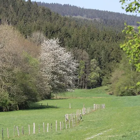 Le Clos Du Cerf - Le Sous-bois Affittacamere 4*