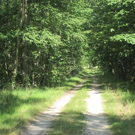 Le Clos Du Cerf - Le Sous-bois ゲストハウス 4*