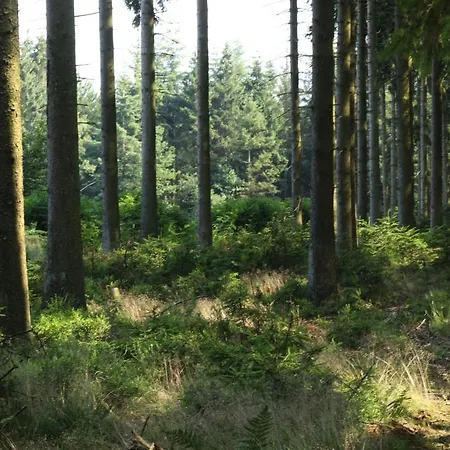Le Clos Du Cerf - Le Sous-bois 게스트하우스