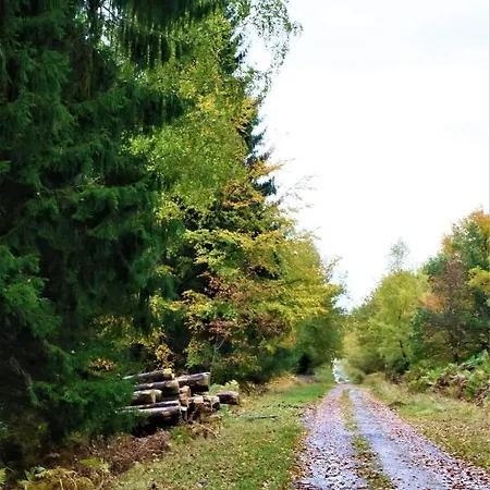 ゲストハウス Le Clos Du Cerf - Le Sous-bois ストゥモン