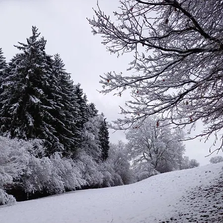 ゲストハウス Le Clos Du Cerf - Le Sous-bois