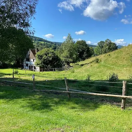 Le Clos Du Cerf - Le Sous-bois Affittacamere 4*
