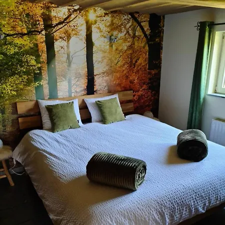 Le Clos Du Cerf - Le Sous-bois