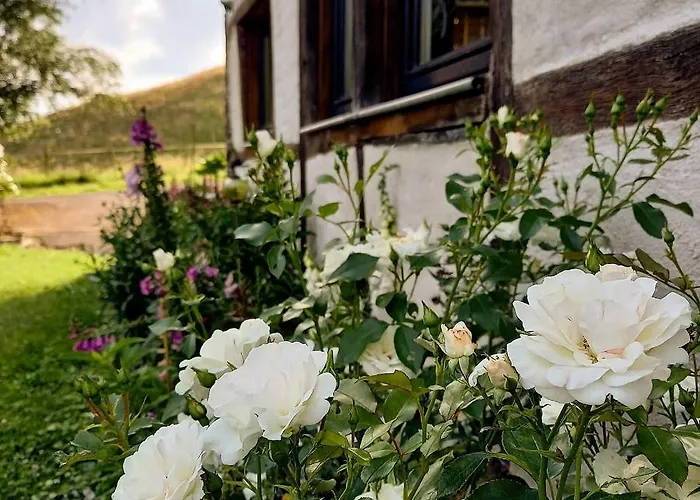 Guest house Le Clos Du Cerf - Le Sous-bois 4*