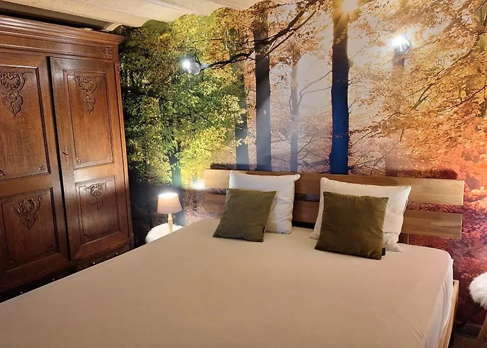 Le Clos Du Cerf - Le Sous-bois