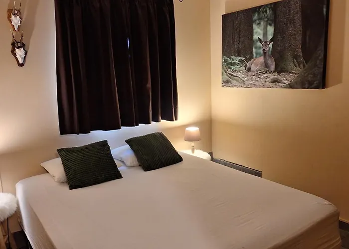 Le Clos Du Cerf - Le Sous-bois Guest house Stoumont